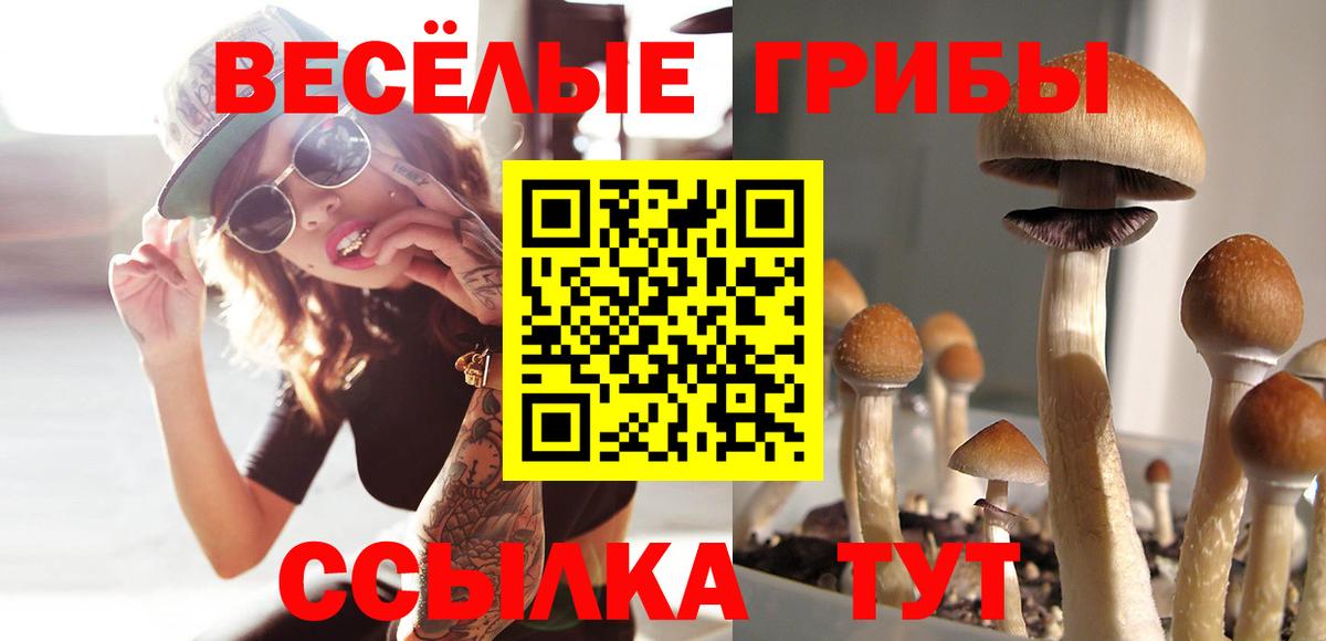 цены   Вход с VPN  Бахчисарай  Псилоцибиновые грибы ЛСД 